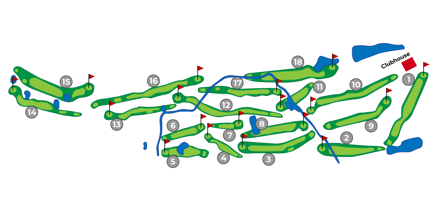 Fish bones on a black background.
